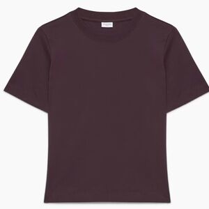Aritzia Babaton Function T-shirt XS New with Tags noble